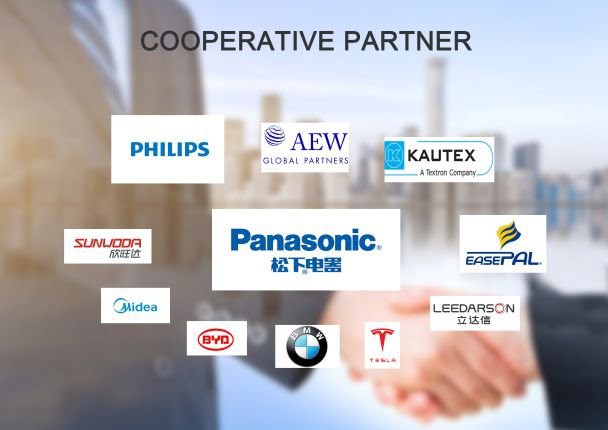 hollow cup motor partner