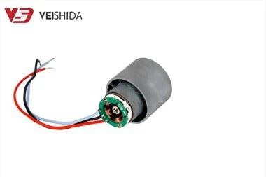 Fen za kosu bez četkica DC motor