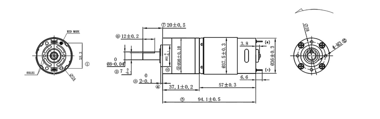 VSD - 36P555 Brushless Gear Motor Design VSD - 36P555 Brushless Gear Motor Design